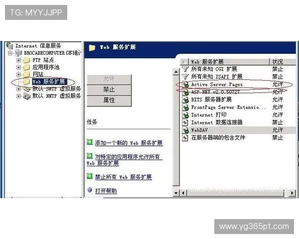 kingbet网址登录线路常见问题解决方案及多线路备用方法推荐