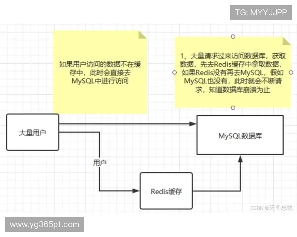 Unibet开户过程中常见问题及解决方案详尽解析